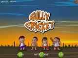 Play Gully Cricket