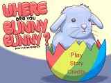 Play Where Are You Bunny Bunny