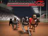 Play Greyhound Racing