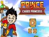 Play Prince and Caged Princess