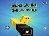 Play Roam Maze