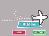 Play Flight Sim
