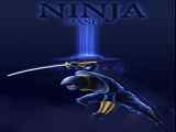 Play NinjaDash