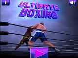 Play Ultimate Boxing Game