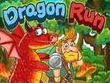 Play Dragon Run