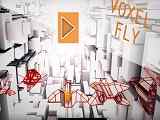 Play Voxel Fly