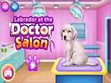 Play Labrador at the Doctor Salon