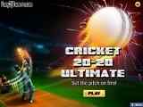 Play Cricket 20-20 Ultimate