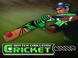 Play Cricket Batter Challenge