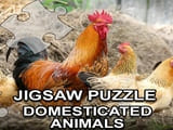 Play Jigsaw Puzzle Domesticated Animals