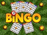 Play Bingo Revealer