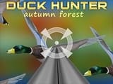 Play Duck Hunter