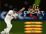 Play Online Cricket 2011