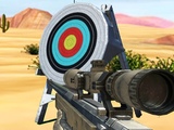 Play Hit Targets Shooting