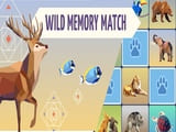 Play Wild Memory