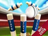 Play Cricket World Cup 2019 MGC